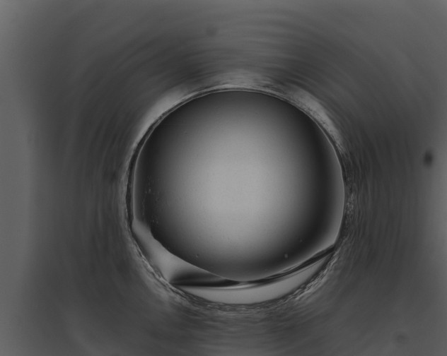 X0000095691146200801151142