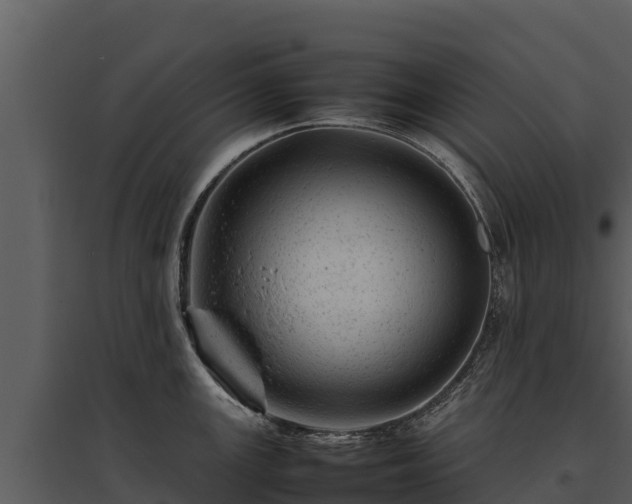 X0000095691147200801151142