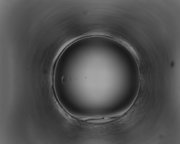 X0000095691148200801151142