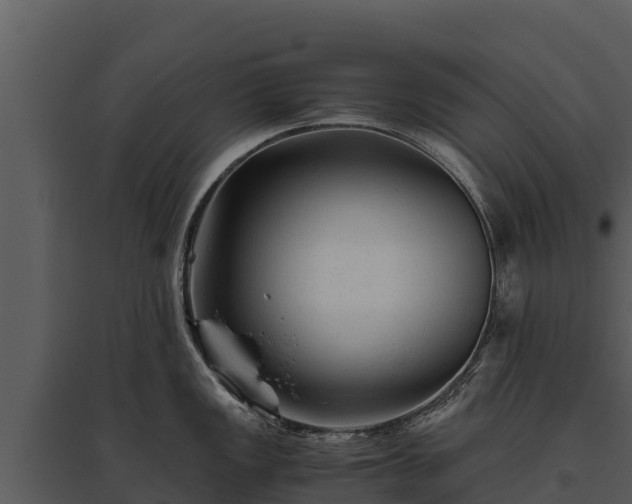 X0000095691149200801151142