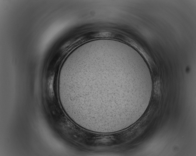 X0000095691150200801151142