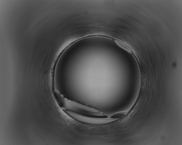 X0000095691151200801151142