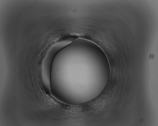 X0000095691153200801151142