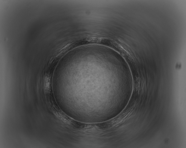 X0000095691154200801151142