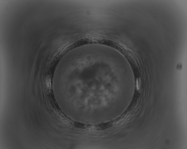 X0000095691155200801151142