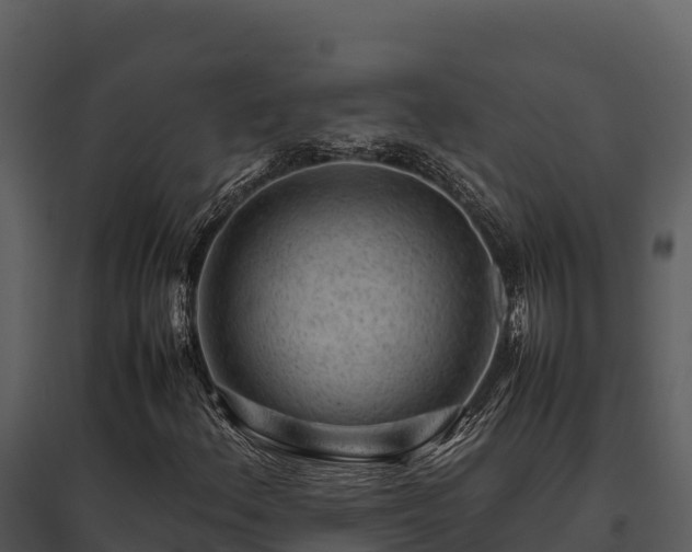 X0000095691156200801151142