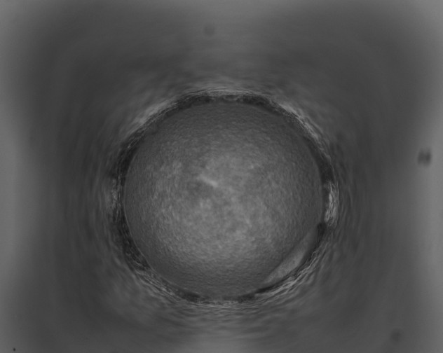 X0000095691157200801151142