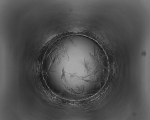 X0000095691158200801151142