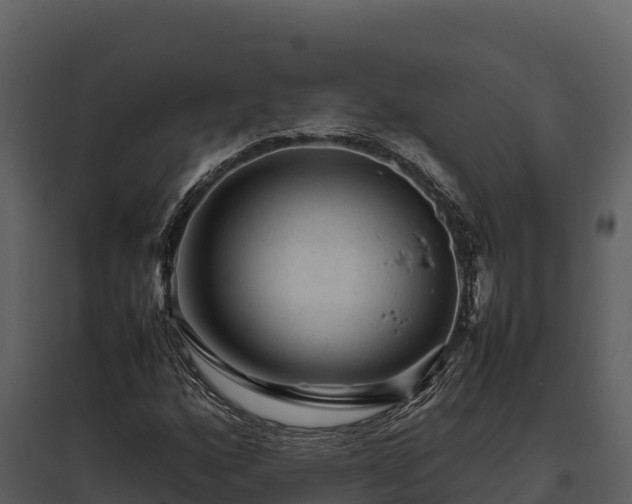 X0000095691160200801151142