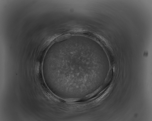 X0000095691161200801151142