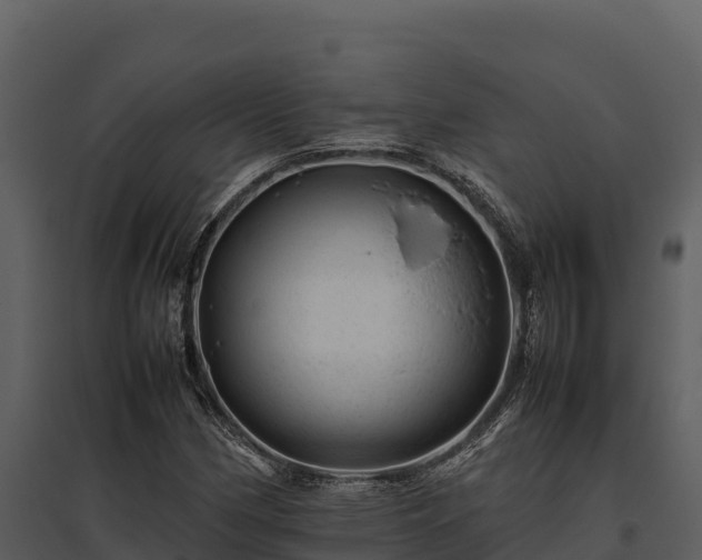 X0000095691162200801151142