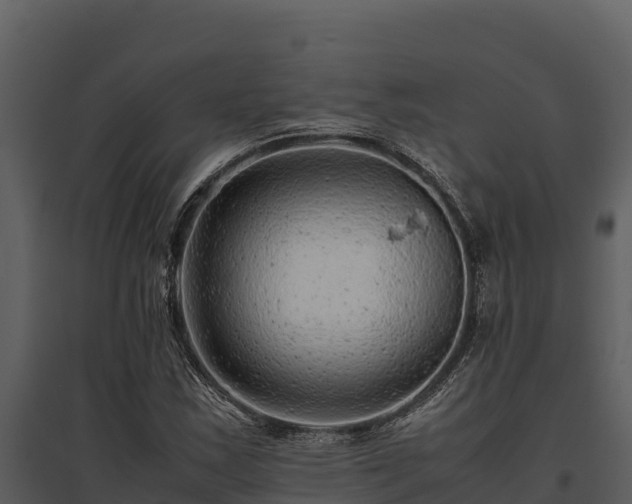 X0000095691163200801151142
