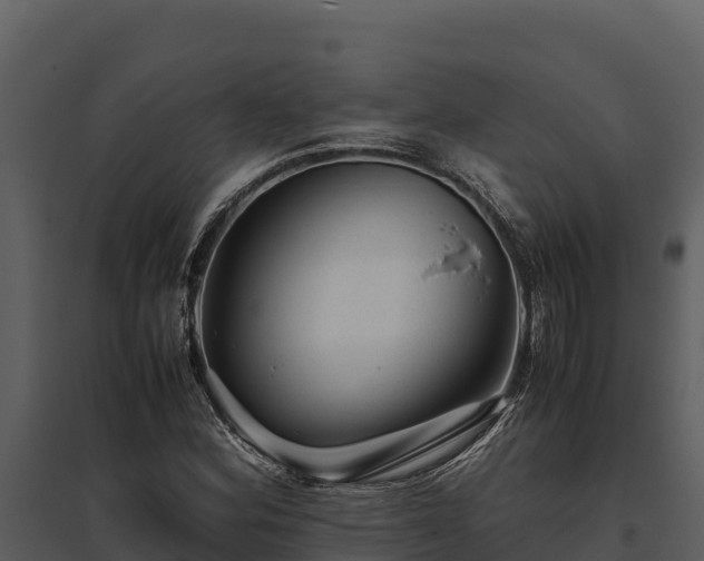 X0000095691164200801151142