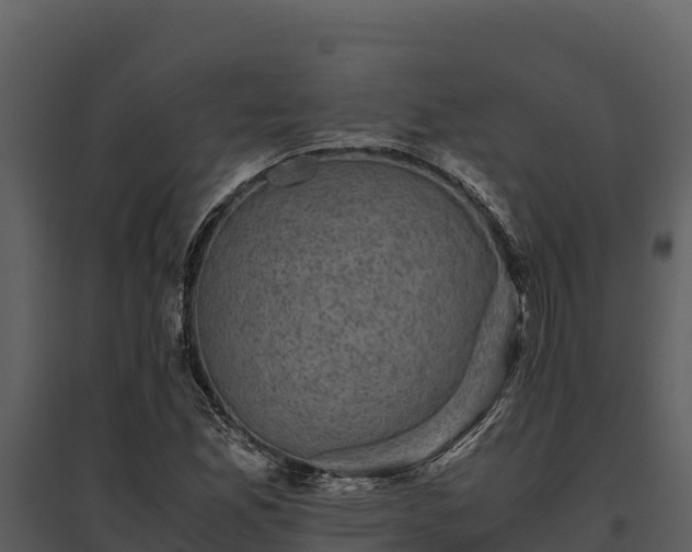 X0000095691165200801151142
