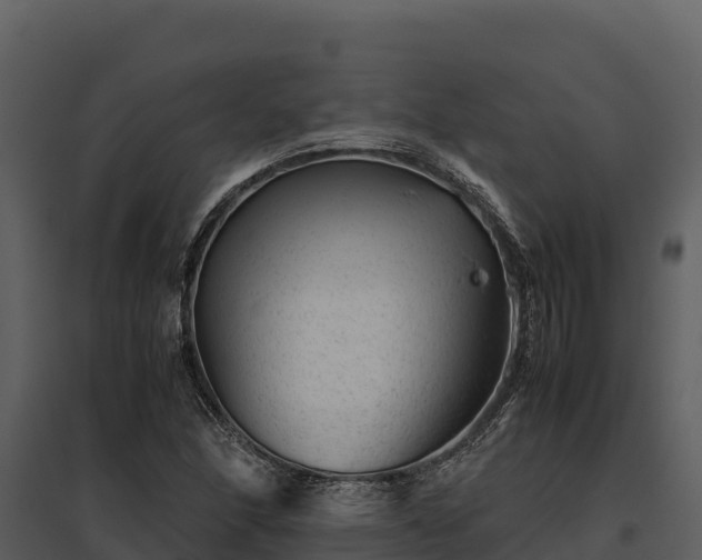 X0000095691166200801151142