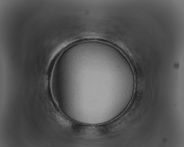 X0000095691167200801151142