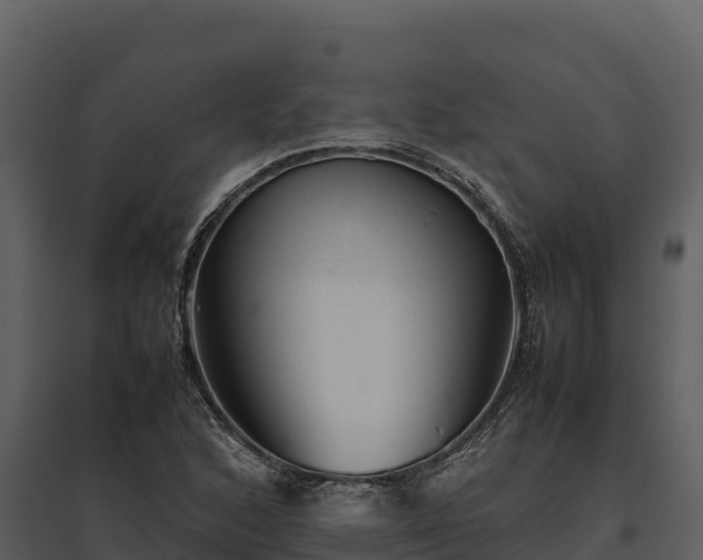 X0000095691168200801151142