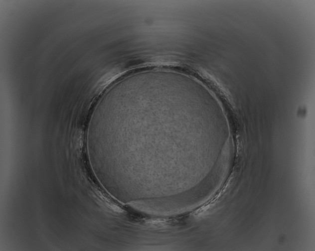 X0000095691169200801151142