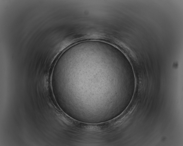 X0000095691170200801151142