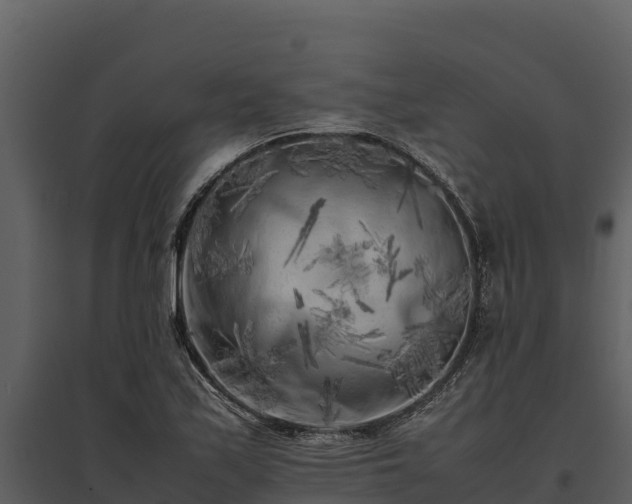 X0000095691171200801151142