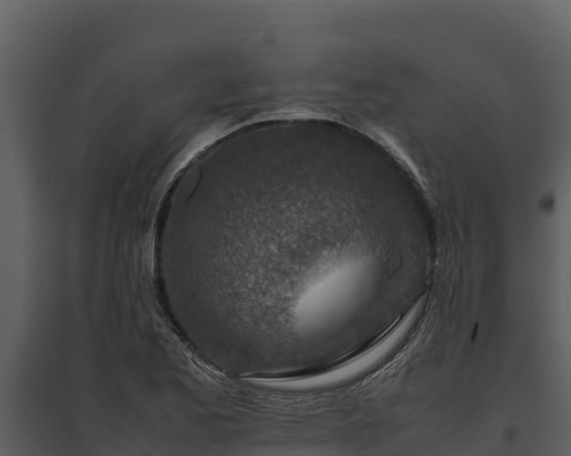X0000095691173200801151142