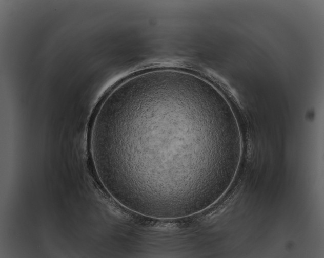 X0000095691174200801151142