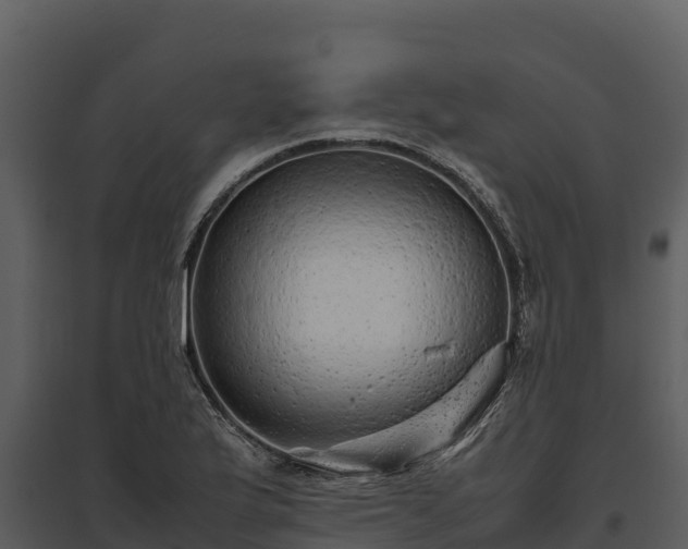 X0000095691175200801151142