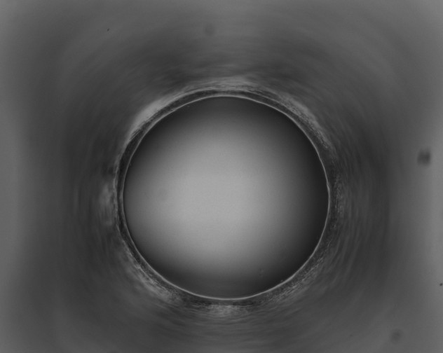 X0000095691176200801151141