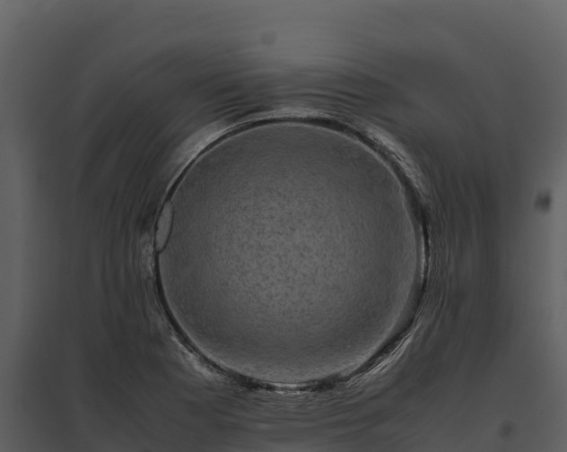 X0000095691177200801151141