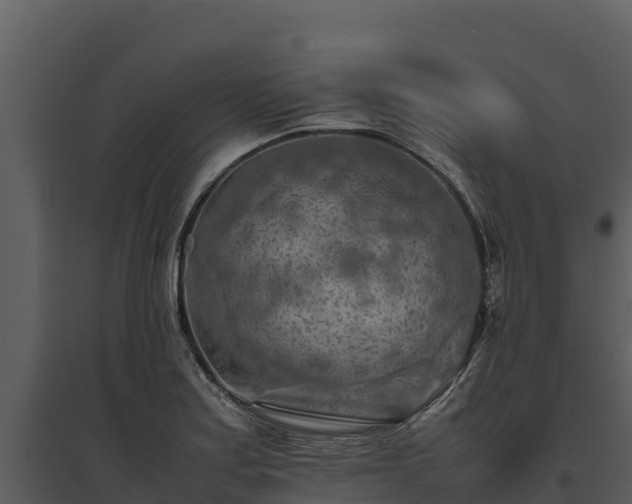 X0000095691179200801151141