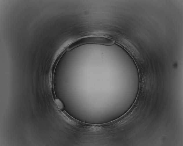X0000095691180200801151141