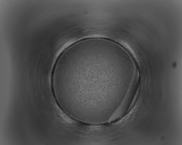 X0000095691181200801151141