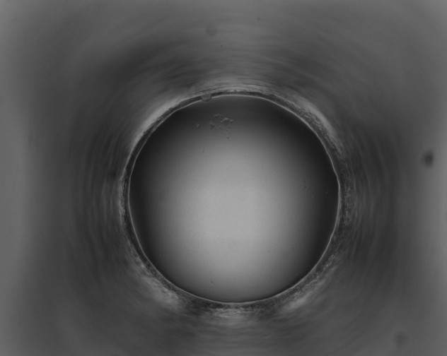 X0000095691182200801151141