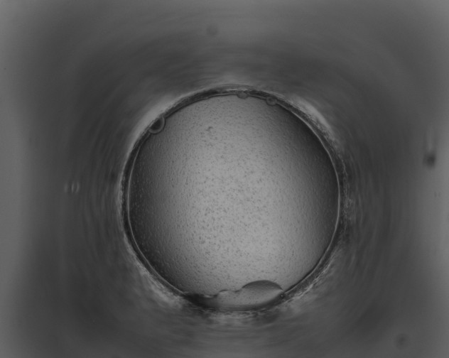 X0000095691183200801151141