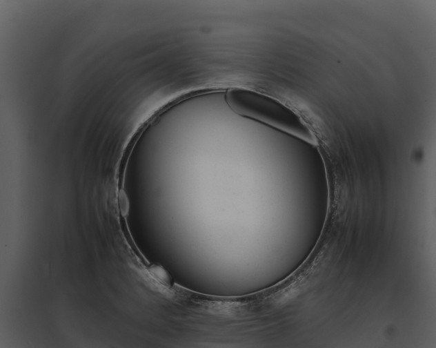 X0000095691184200801151141
