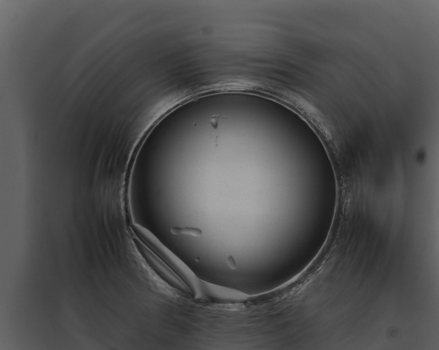 X0000095691186200801151141