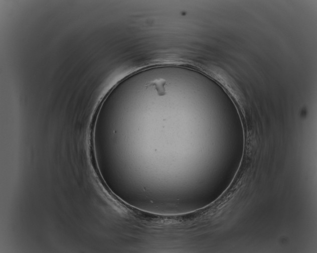 X0000095691187200801151141