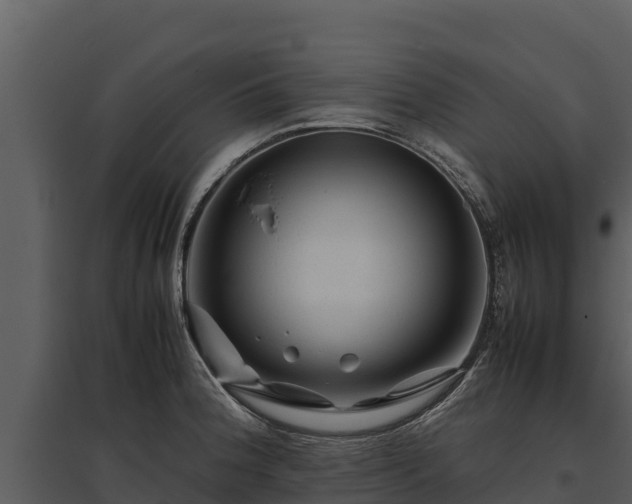 X0000095691188200801151141