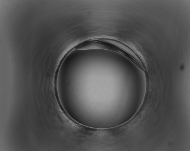 X0000095691189200801151141