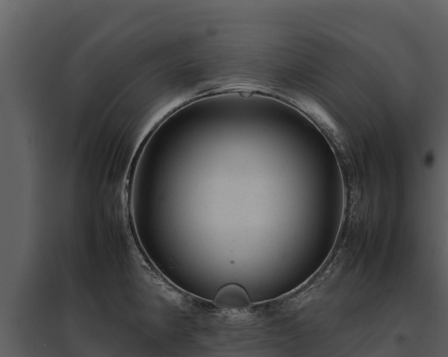 X0000095691190200801151141