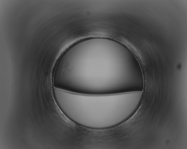 X0000095691192200801151141