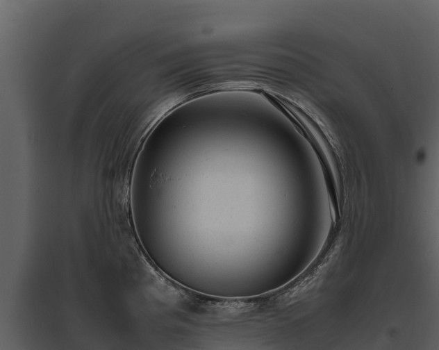 X0000095691193200801151141