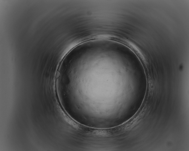 X0000095691194200801151141