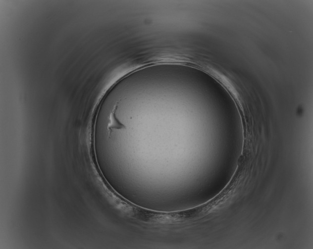 X0000095691195200801151141