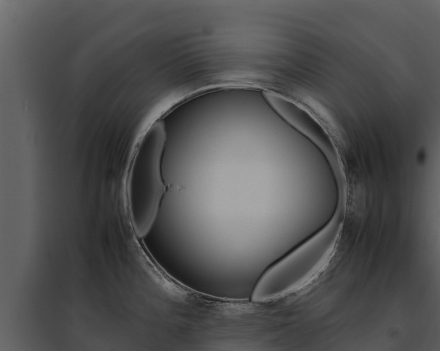 X0000095691196200801151141