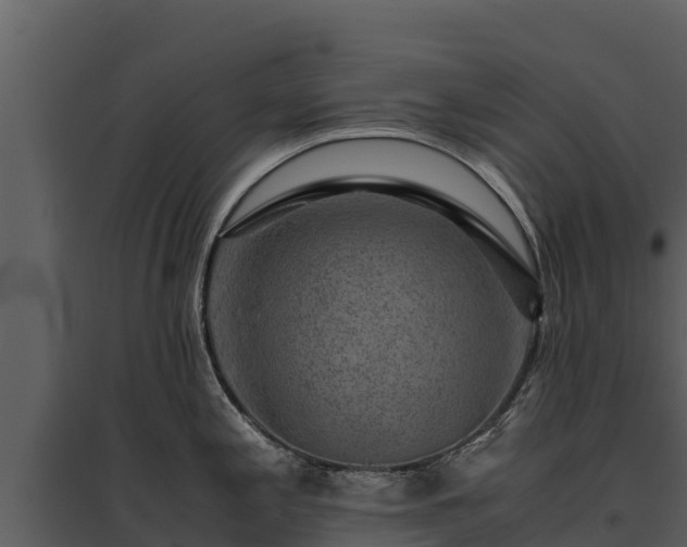 X0000095691197200801151141