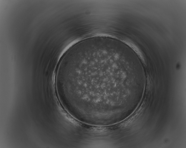X0000095691198200801151141