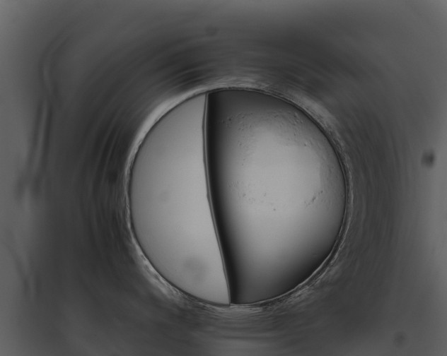 X0000095691200200801151141