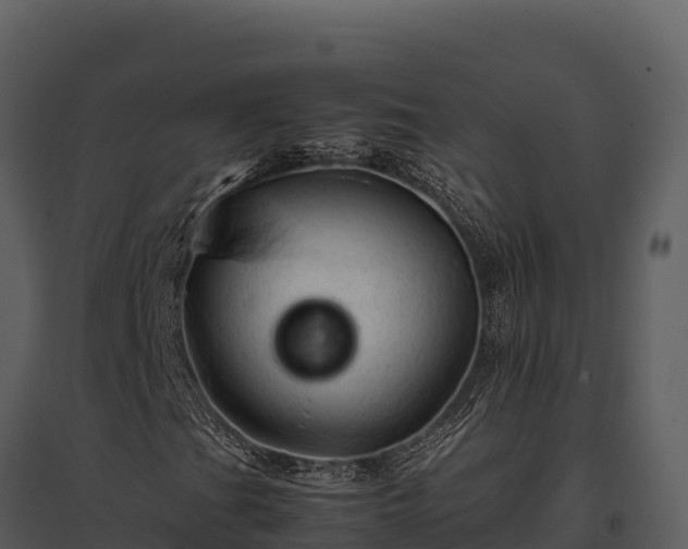 X0000095691201200801151140
