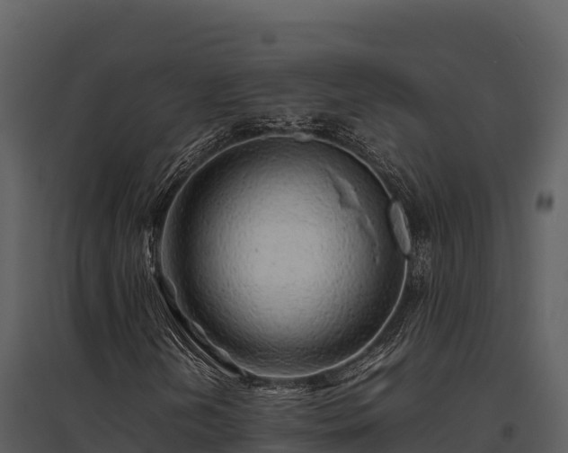 X0000095691202200801151141